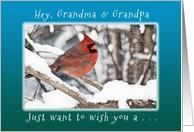 Hey, Grandma &...