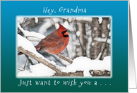 Hey, Grandma, Wish...