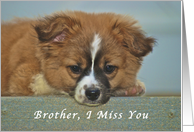 I Miss My Brother,...