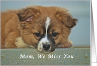 We Miss You Mom,...