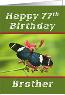 Happy 77th Birthday...
