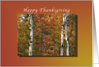 Happy Thanksgiving,...