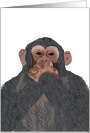 Chimpanzee, Speak no...
