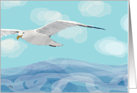 Seagull Flying Over...