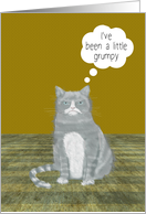Grumpy Cat Apology...