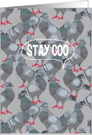 Stay Coo (Stay Cool) City Pigeon, Good Bye card