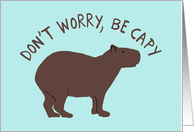 Capybara Don't Worry...