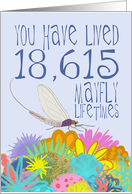 Mayfly 51st Birthday card