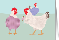 Chicken Knitting...