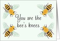 You are the Bee's...
