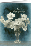 Our Sympathy with...