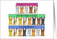 Congratulations on Getting a Place at University, Cartoon Cats. card