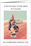 Happy Birthday Away at College Funny Dog in Party Hat with a Cake card