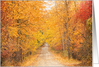 Autumn Leaves Tree...