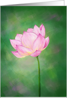 Pink Lotus Flower,...