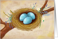 Happy Mother’s Day - Birds Nest & Flowers card