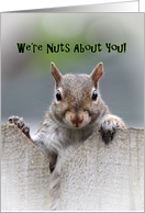 We're Nuts About You...