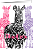 Thank You Zebra Trio...