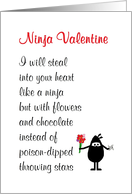 Ninja Valentine - a...