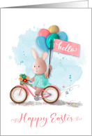 Easter Bicycle Bunny...