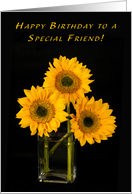 For a Special Friend...