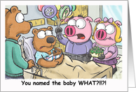 Piggy Nation - Baby...