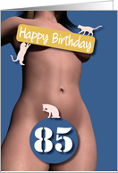 85th Sexy Girl Birthday Blue and Pink Cats card