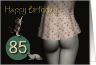 85th Birthday Sexy Girl with Small Colored Shirt and Cats card