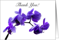 Purple Orchid Thank...