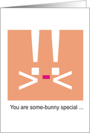 Some-Bunny Special
