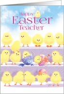 Teacher Happy Easter...