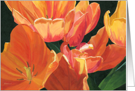 Orange Tulips Mother...