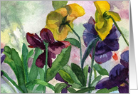 Purple Pansy Note...