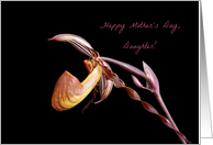 Happy Mother's Day...