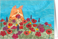 Cat Among Flowers...