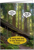 Sad Day Redwood...