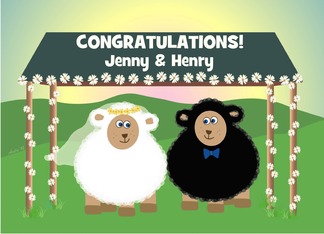 Sheep Engagement...