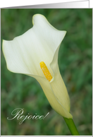 Calla Lily Easter