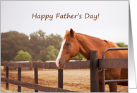 Horse Father's Day...