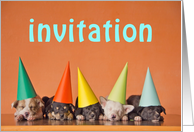 Invitation card with...