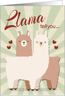 Llama Couple for...