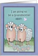 Grandma Sheep...