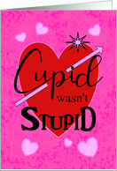 Cupid Wasn't Stupid...
