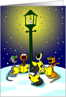 Caroling Cats