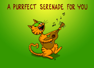 A Purrfect Serenade...