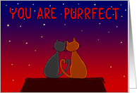 You Are Purrfect...