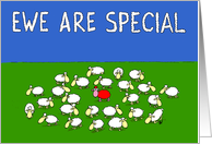 Ewe Are Special...