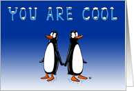 You Are Cool...
