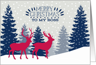 To my Boss, Merry...