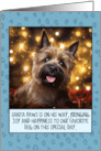 Cairn Terrier Christmas card
